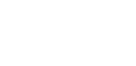 Logo bditel.de